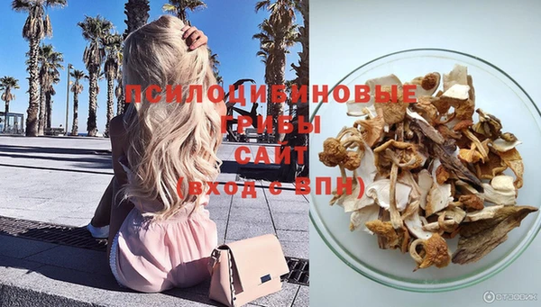 крисы Балахна