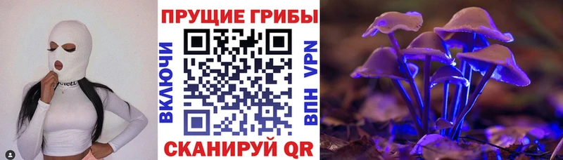 Псилоцибиновые грибы Psilocybine cubensis Избербаш